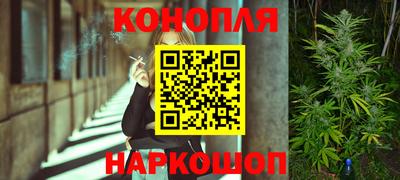 трава Будённовск