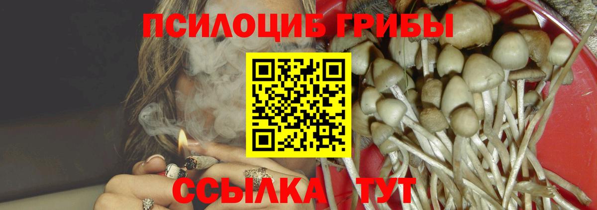 Галлюциногенные грибы Magic Shrooms  Псилоцибиновые грибы GOLDEN TEACHER  Вход с VPN  Тулун 